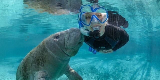 Бухта Абу Дабаб з Mr Samy Guide