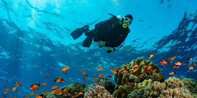 Дайвінг з корабля в Хургаді з MrSamyGuide